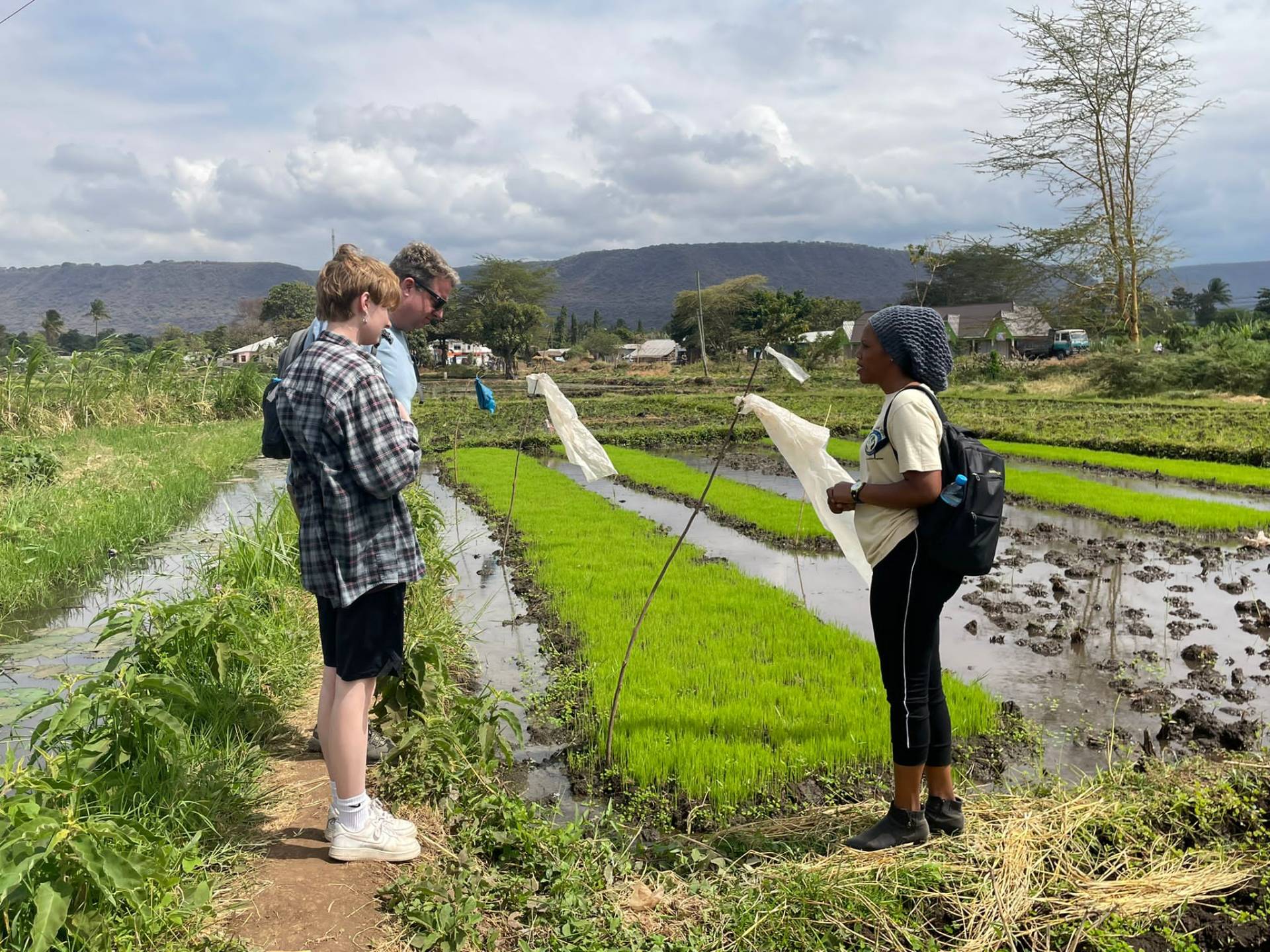 Guide explaining the rice paddies of Mto wa Mbu