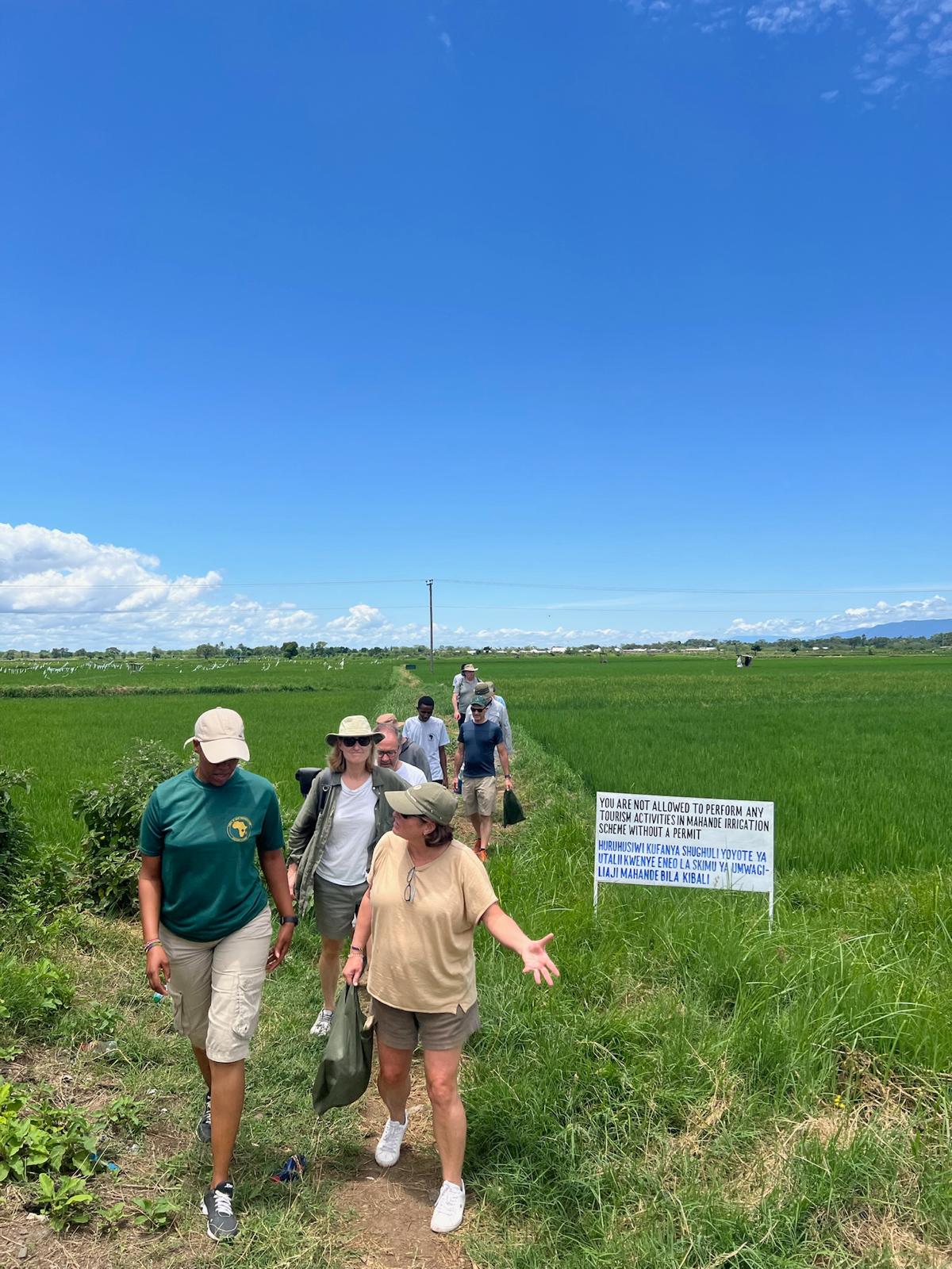 Walking tour through the Mahande rice fields